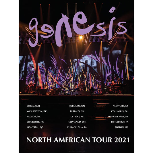 The Last Domino? North American Tour Poster