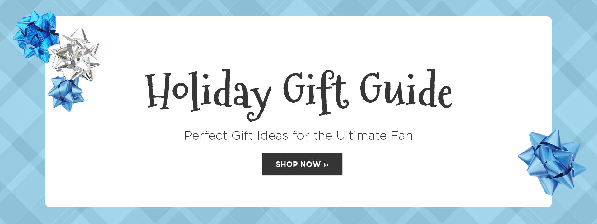 Check Out Our Holiday Gift Guide!